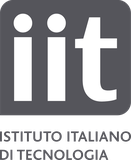 IIT